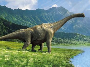 Dinosaur